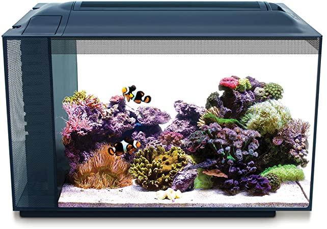 Fluval Sea Evo V Saltwater Fish Tank Aquarium Kit, Black for Sale